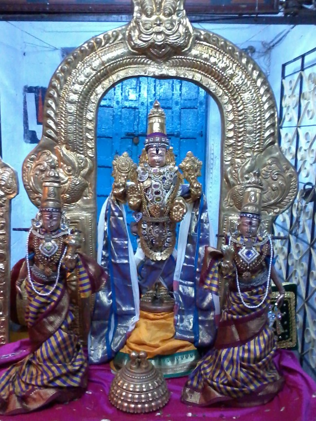 THiruvelukkai Sri Andal Thiruvadipooram Utsavam  2014 01