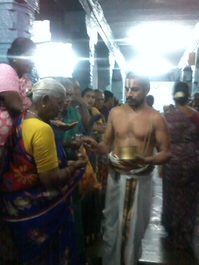 THiruvelukkai Sri Andal Thiruvadipooram Utsavam  2014 10