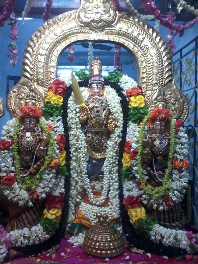 THiruvelukkai Sri Andal Thiruvadipooram Utsavam  2014 12