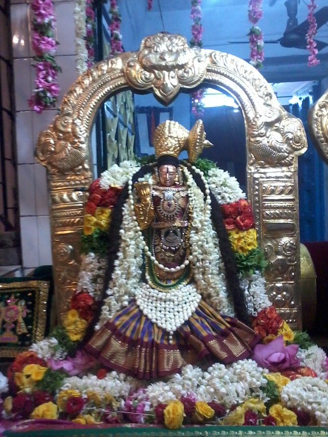 THiruvelukkai Sri Andal Thiruvadipooram Utsavam  2014 13