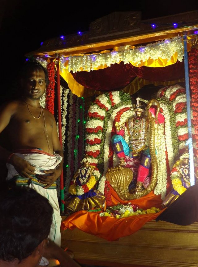 Taramani Sri Krishnan sannadhi srijayanthi utsavam 2014 7
