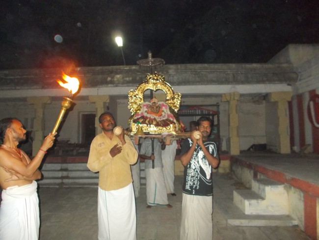 Therazhundur Senkamalavalli Thayar  Aadi Velli Purappadu 2014 04
