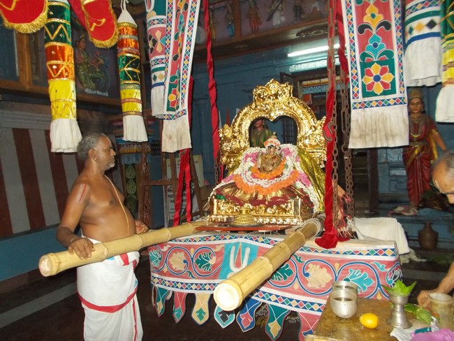 Therazhundur Senkamalavalli Thayar  Aadi Velli Purappadu 2014 09