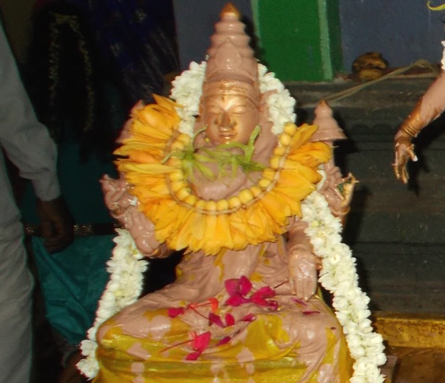 Therazhundur Thiruppavadai Utsavam 2014--04