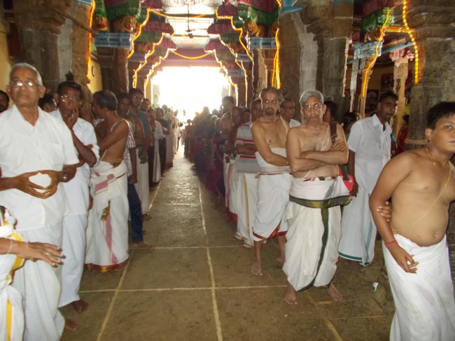 Therazhundur Thiruppavadai Utsavam 2014--10