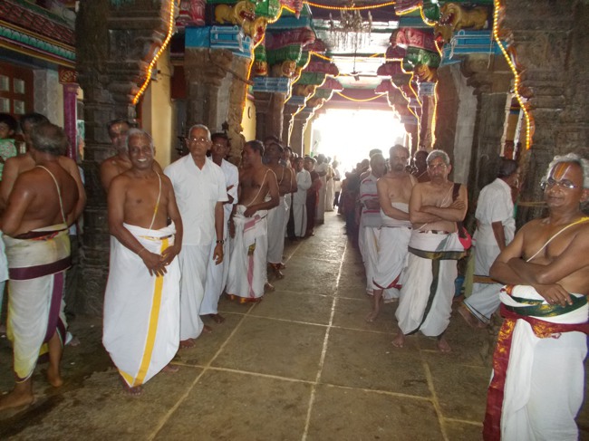 Therazhundur Thiruppavadai Utsavam 2014--11