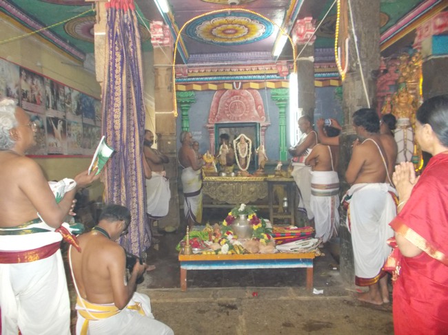 Therazhundur Thiruppavadai Utsavam 2014--17