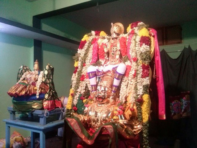 Thillaisthanam Srinivasa Perumal Temple Pavithrotsavam 2014 09
