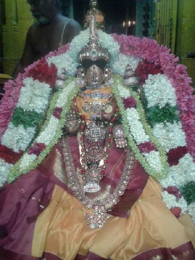 ThiruChitrakoodam Sri Pundarikavalli Thayar Aadi VelliKizhamai Purappadu1