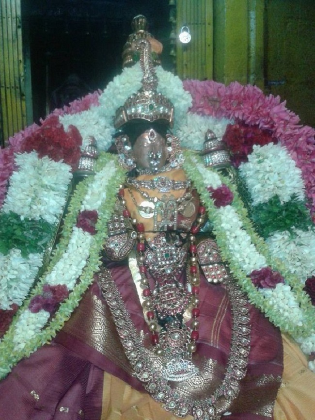ThiruChitrakoodam Sri Pundarikavalli Thayar Aadi VelliKizhamai Purappadu3