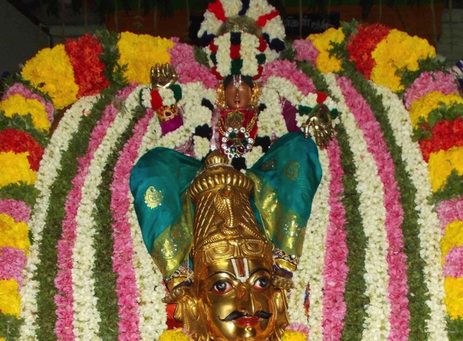 Thirukannamangai Garuda Thirunakshatram 2014--00