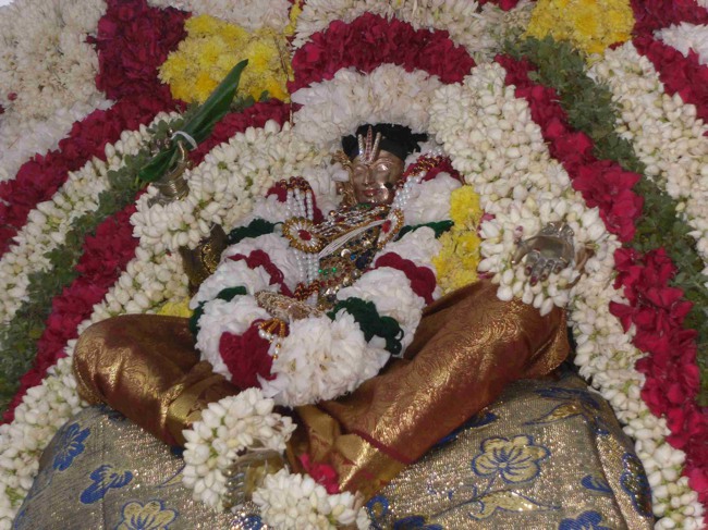 Thirukannamangai Sri Nigamantha Mahadesikan 747 Thirunakashatra Utsavam 2014--20