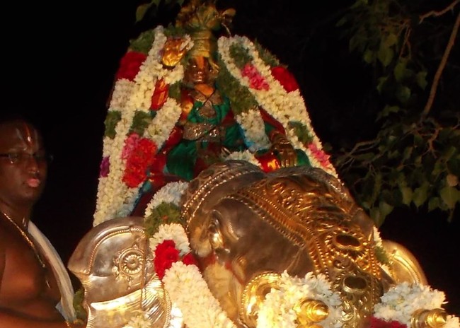 Thirumaliruncholai Kallazhagar Aadi brahmotsavam Yanai vahanam 2014 4
