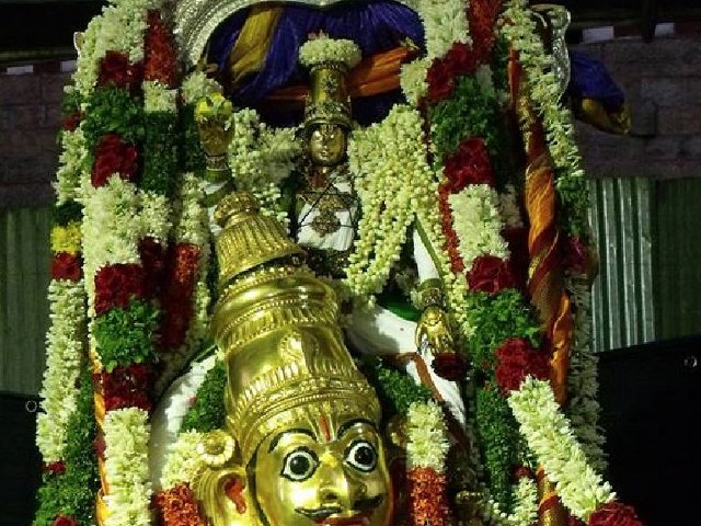 Thirumaliruncholai Sri Kallazhagar  Brahmotsavam Garuda Sevai 2014 8