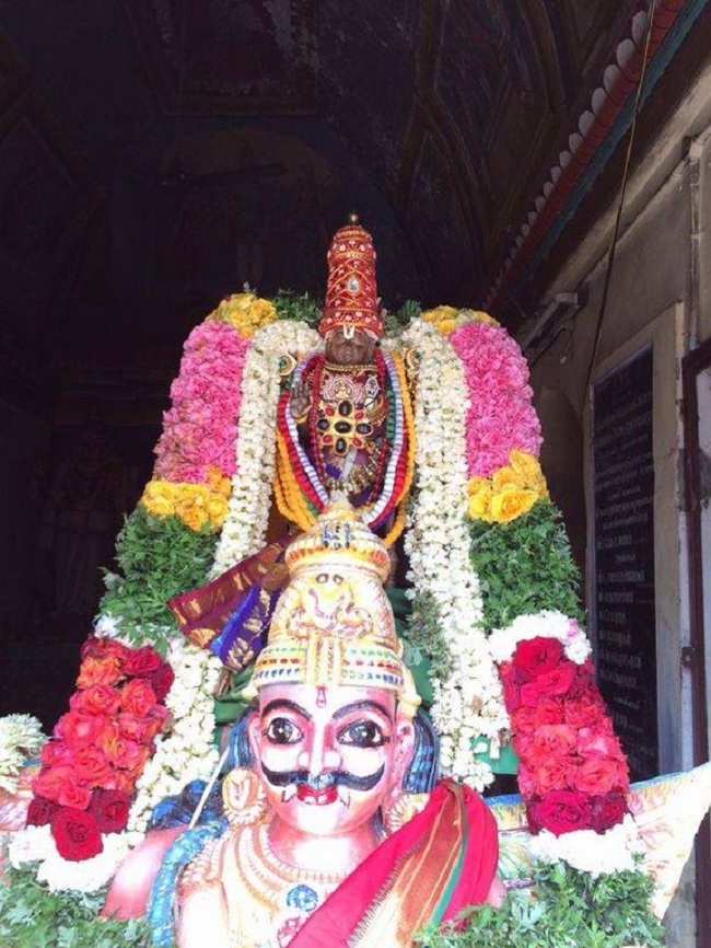 Thirumandangudi Sri Ranganatha Perumal Temple ThiruPavithrotsavam Concludes14