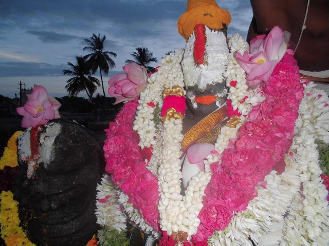 Thiruppullani Adhi Jagannatha Perumal Temple Aadi Swathi Thirumanjanam 2014 4