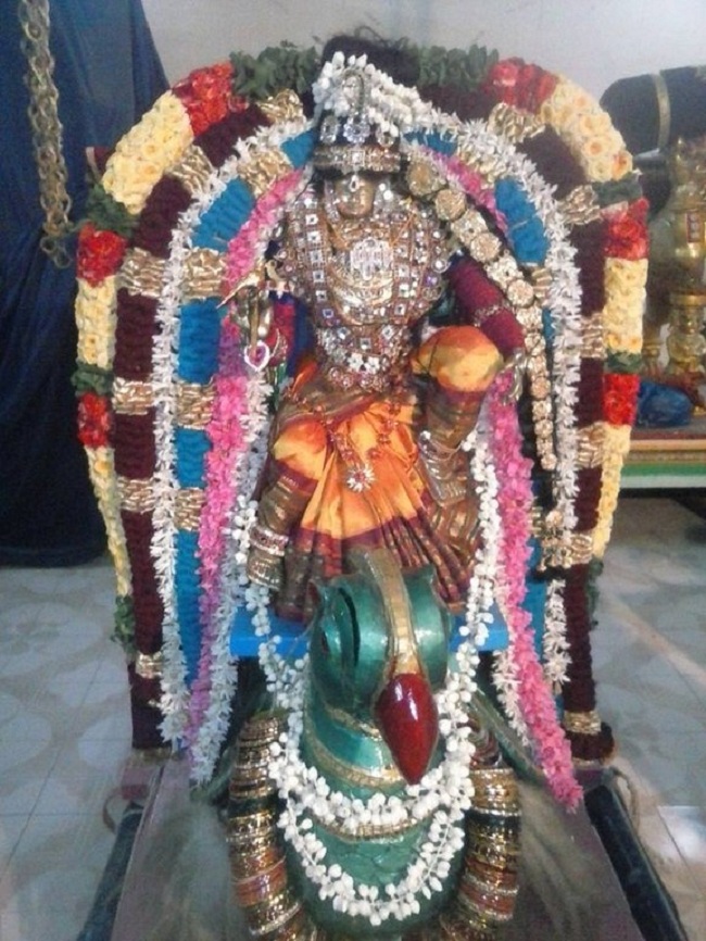 Thiruvaadipooram At Nungambakkam Sri Prasanna Venkatesa Perumal Temple4
