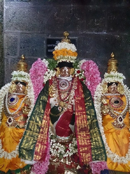 Thiruvahindrapuram Sri Devanathan Perumal Sani Kizhamai Purappadu1