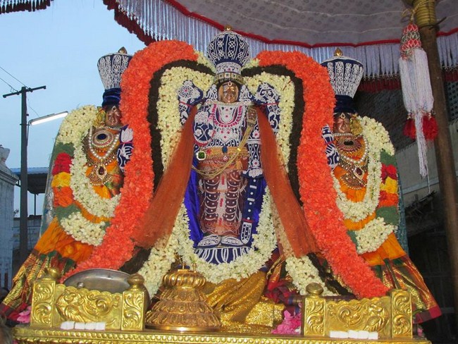 Thiruvahindrapuram Sri Devanathan Perumal Sani Kizhamai Purappadu2