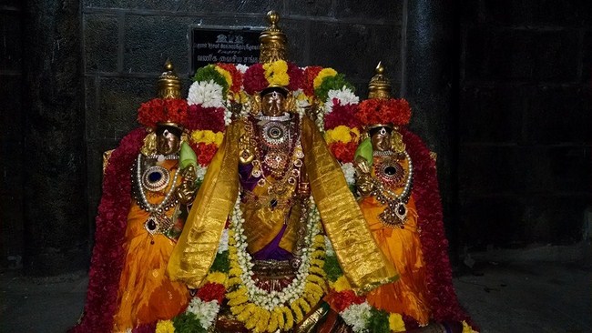 Thiruvahindrapuram Sri Devanathan Perumal Sani Kizhamai Purappadu2