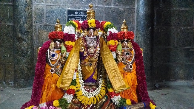 Thiruvahindrapuram Sri Devanathan Perumal Sani Kizhamai Purappadu3