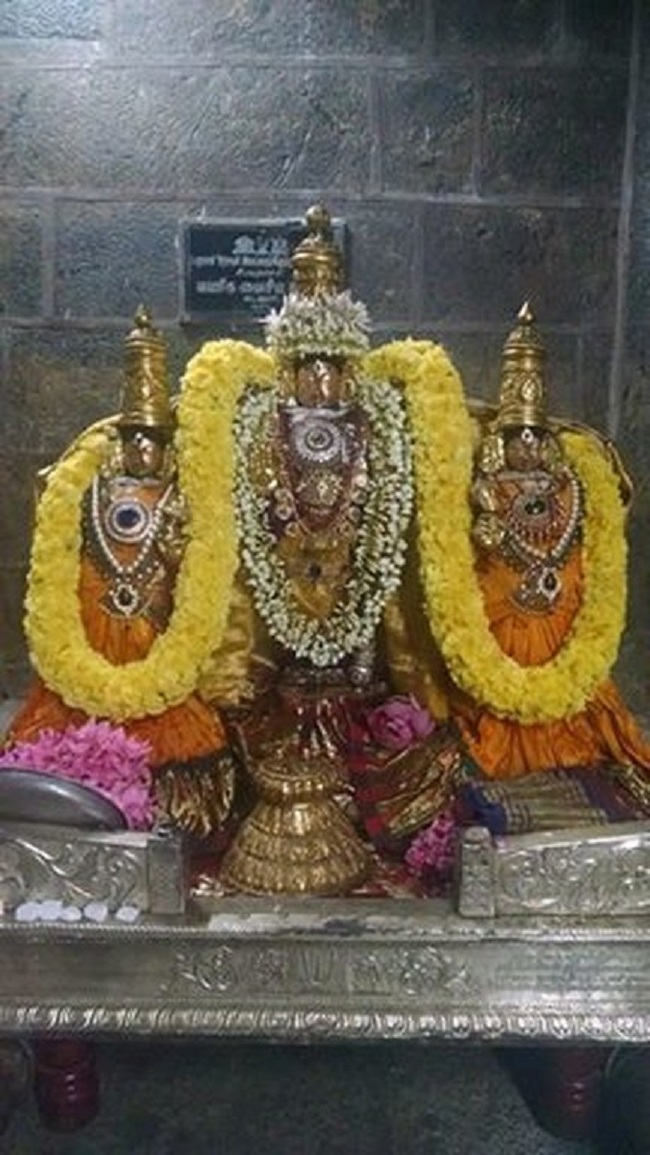 Thiruvahindrapuram Sri Devanathan Perumal Sani Kizhamai Purappadu3