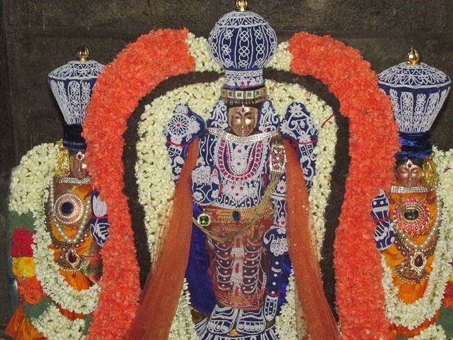 Thiruvahindrapuram Sri Devanathan Perumal Sani Kizhamai Purappadu5