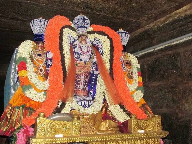 Thiruvahindrapuram Sri Devanathan Perumal Sani Kizhamai Purappadu6