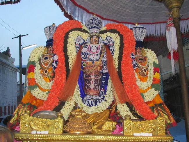 Thiruvahindrapuram Sri Devanathan Perumal Sani Kizhamai Purappadu8