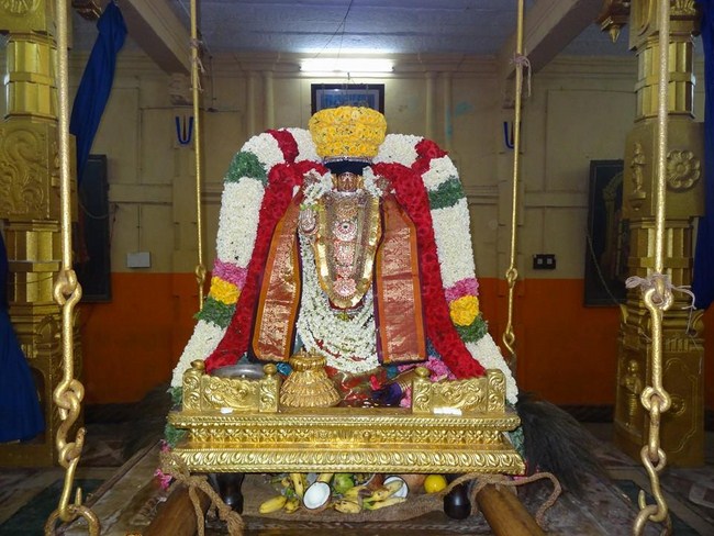 Thiruvahindrapuram Sri Devanathan Perumal Temple Swami Alavandhar Thirunakshatra Utsavam7