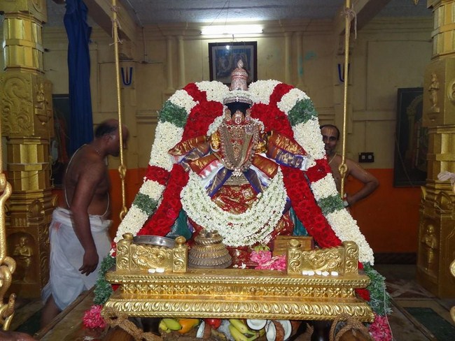 Thiruvahindrapuram Sri Devanathan Perumal Temple Swami Desikan Aani Sravana Purappadu1