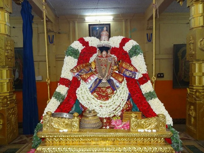 Thiruvahindrapuram Sri Devanathan Perumal Temple Swami Desikan Aani Sravana Purappadu8