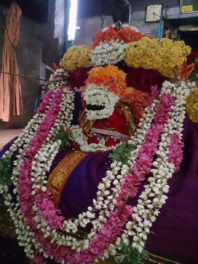 Thiruvahindrapuram Sri Hemabujavalli Thayar Aadi Vellikizhamai Purappadu1