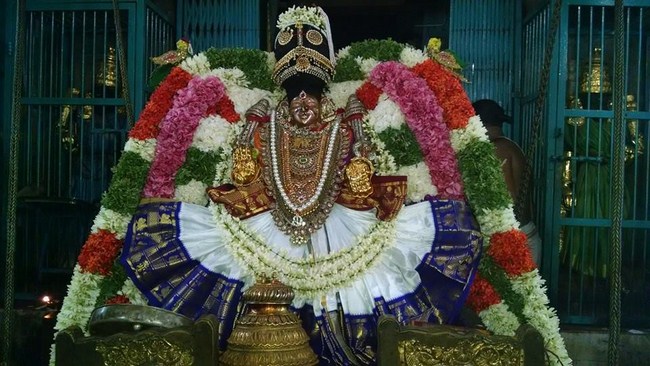 Thiruvahindrapuram Sri Hemabujavalli Thayar Aadi Vellikizhamai Purappadu2