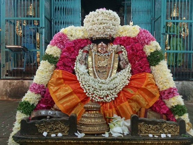 Thiruvahindrapuram Sri Hemabujavalli Thayar Aadi Vellikizhamai Purappadu2