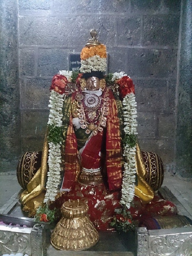 Thiruvahindrapuram Sri Hemabujavalli Thayar Aadi Vellikizhamai Purappadu4