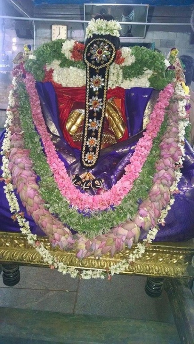 Thiruvahindrapuram Sri Hemabujavalli Thayar Aadi Vellikizhamai Purappadu6