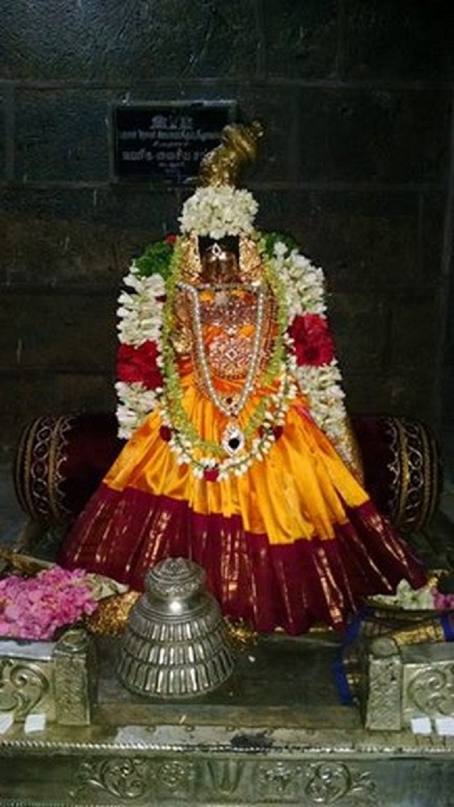 Thiruvahindrapuram Sri Hemabujavalli Thayar Vellikizhamai Purappadu3