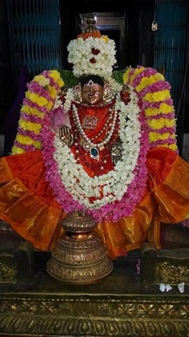 Thiruvahindrapuram Sri Hemabujavalli Thayar Vellikizhamai Purappadu4