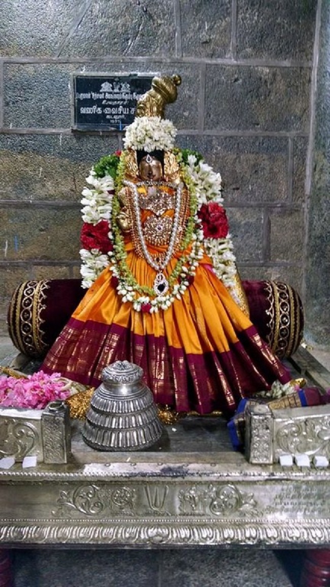 Thiruvahindrapuram Sri Hemabujavalli Thayar Vellikizhamai Purappadu4