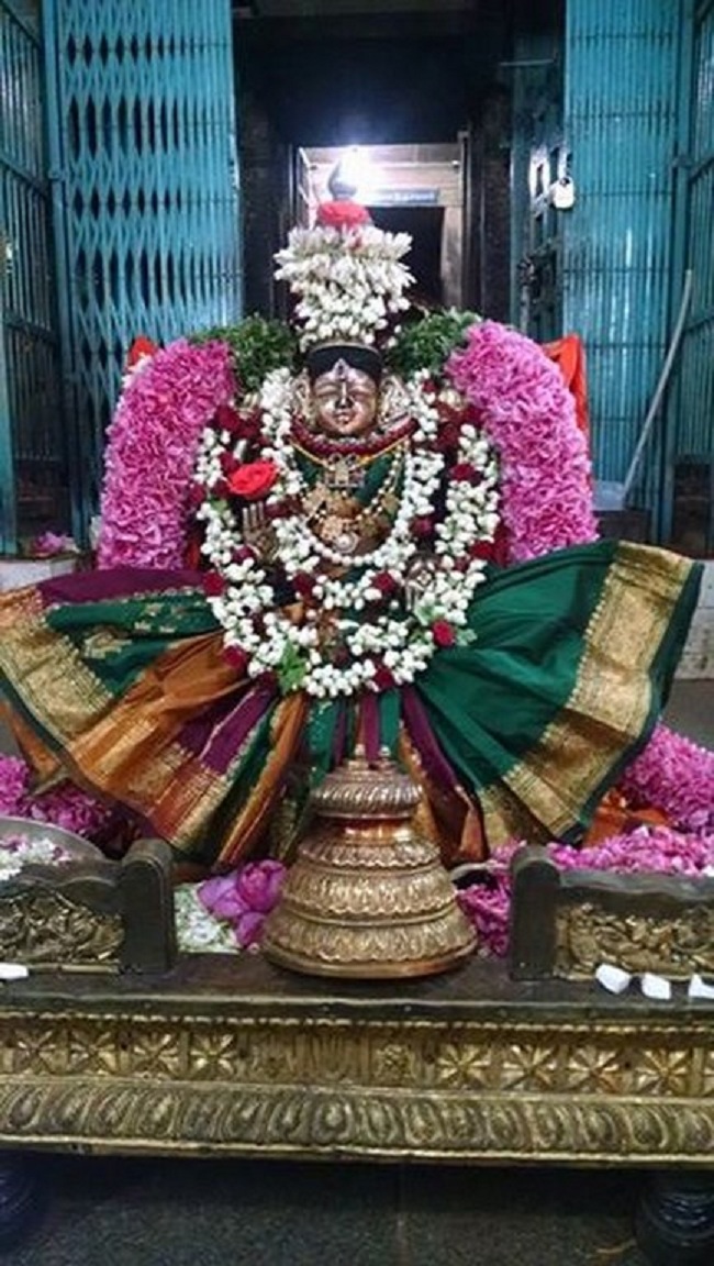 Thiruvahindrapuram Sri Hemabujavalli Thayar Vellikizhamai Purappadu5
