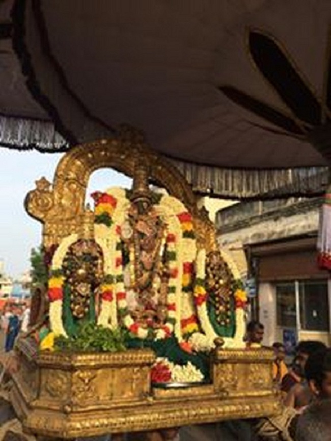 Thiruvallikeni Sri Parthasarthy Perumal Temple Swami Alavandhar Thirunakshatram Purappadu1
