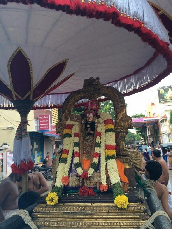 Thiruvallikeni Sri Parthasarthy Perumal Temple Swami Alavandhar Thirunakshatram Purappadu5
