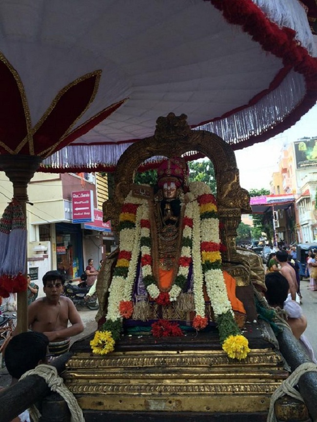Thiruvallikeni Sri Parthasarthy Perumal Temple Swami Alavandhar Thirunakshatram Purappadu6