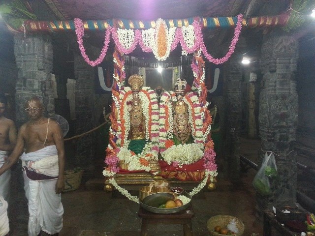 Thiruvallur Veeraraghava  Perumal Kovil Sri Andal THiruvadipooram Utsavam 2014 01