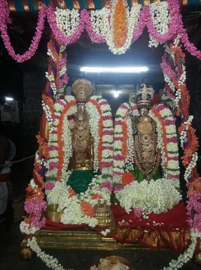 Thiruvallur Veeraraghava  Perumal Kovil Sri Andal THiruvadipooram Utsavam 2014 04