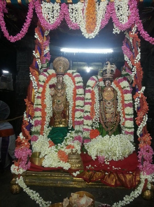 Thiruvallur Veeraraghava  Perumal Kovil Sri Andal THiruvadipooram Utsavam 2014 07
