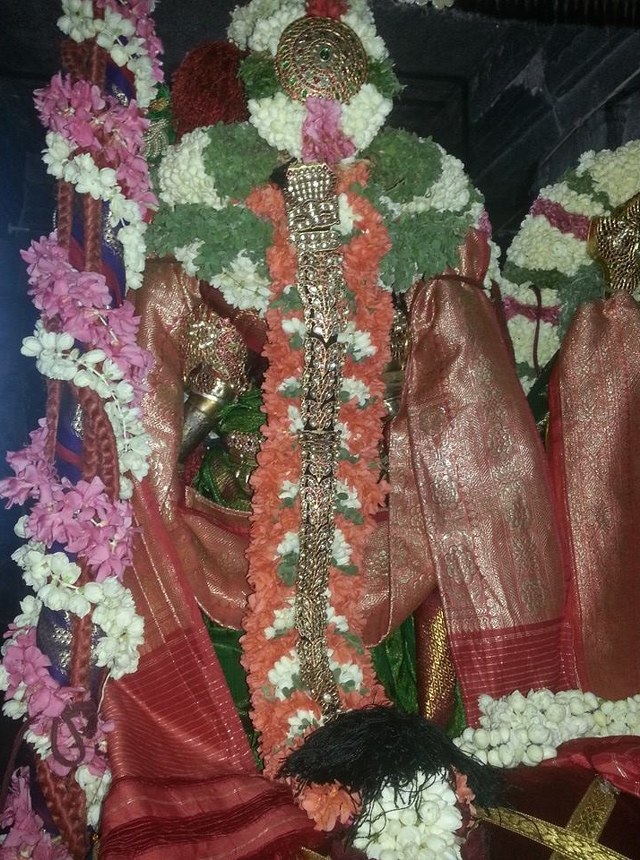 Thiruvallur Veeraraghava  Perumal Kovil Sri Andal THiruvadipooram Utsavam 2014 10