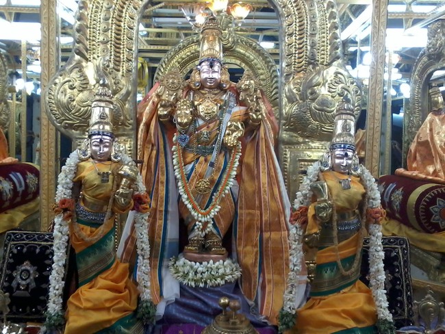 Thiruvelukkai Adi Swathi THirumanjanam 2014 04