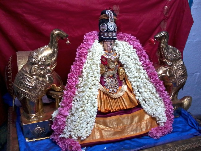 Thiruvelukkai Amirthavalli Thayar Adi Velli utsavam 2014 02